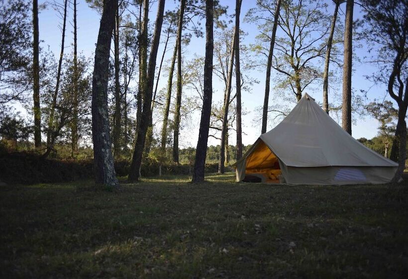 펜션 Ocean Shelter