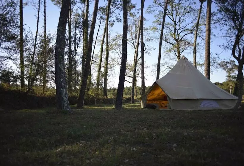 Majatalo Ocean Shelter