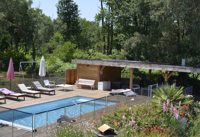 펜션 Ocean Shelter