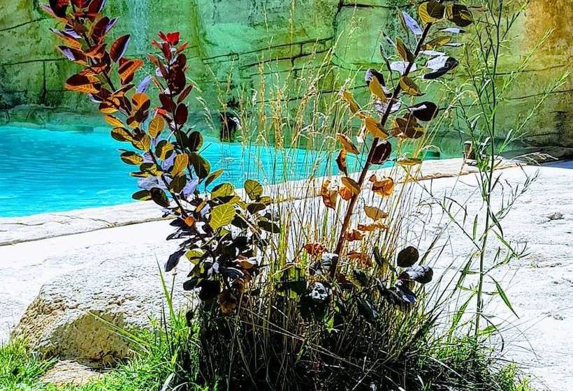 ベッドアンドブレックファースト Chambres D Hôtes L Eveil Des Sens