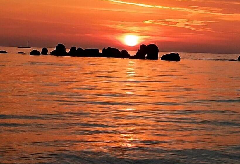 住宿加早餐  La Villa Des Fleurs D Ajoncs