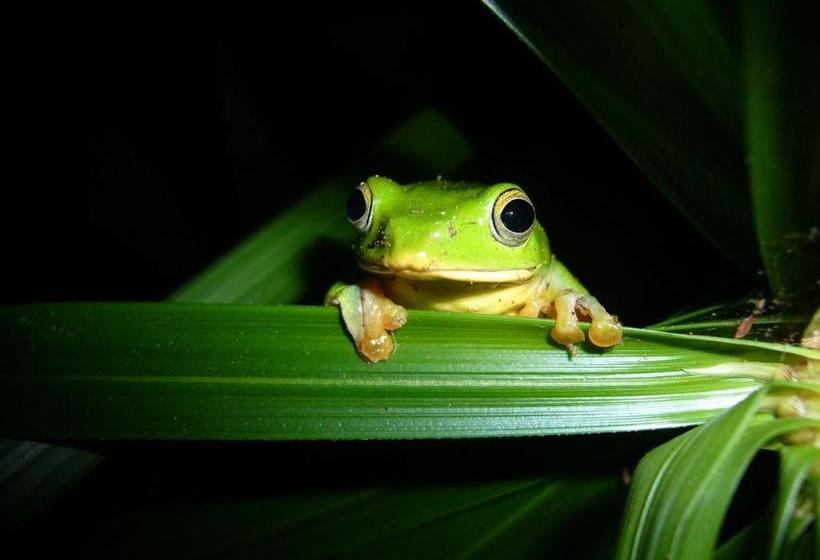 تختخواب و صبحانه Stone House Homestay