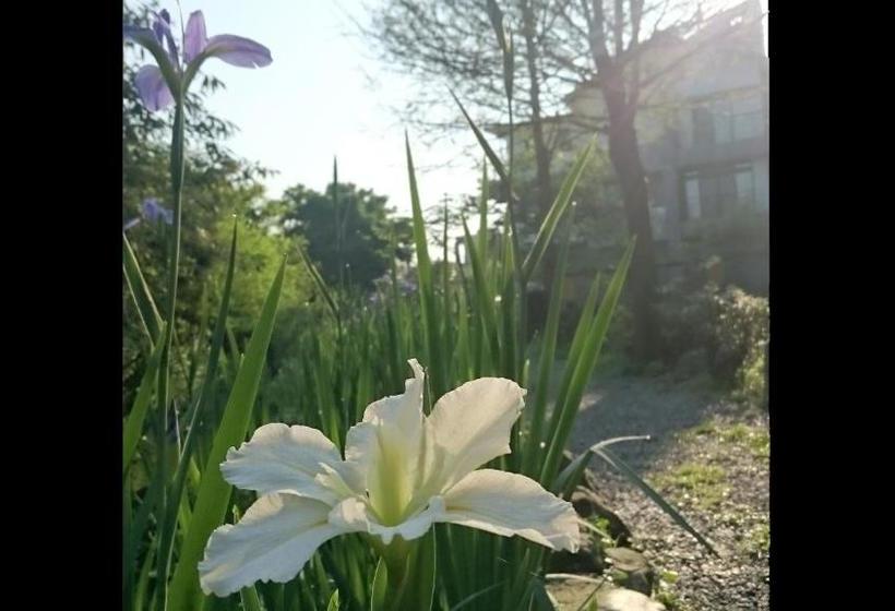 تختخواب و صبحانه Stone House Homestay