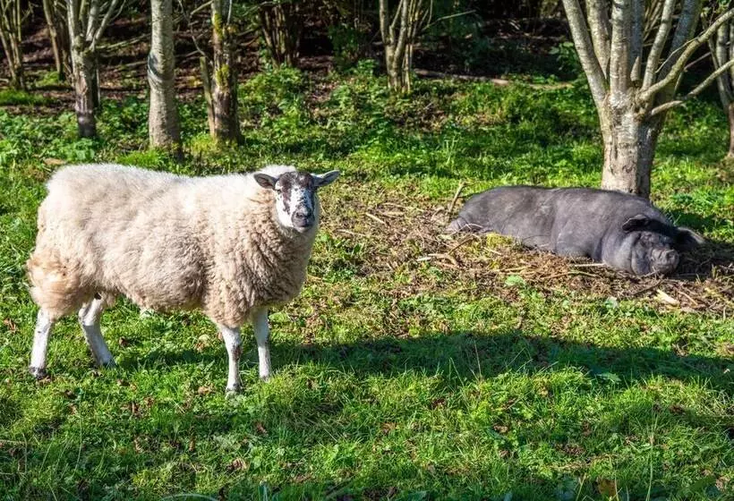 Hotelli Drumhoney Holiday Park