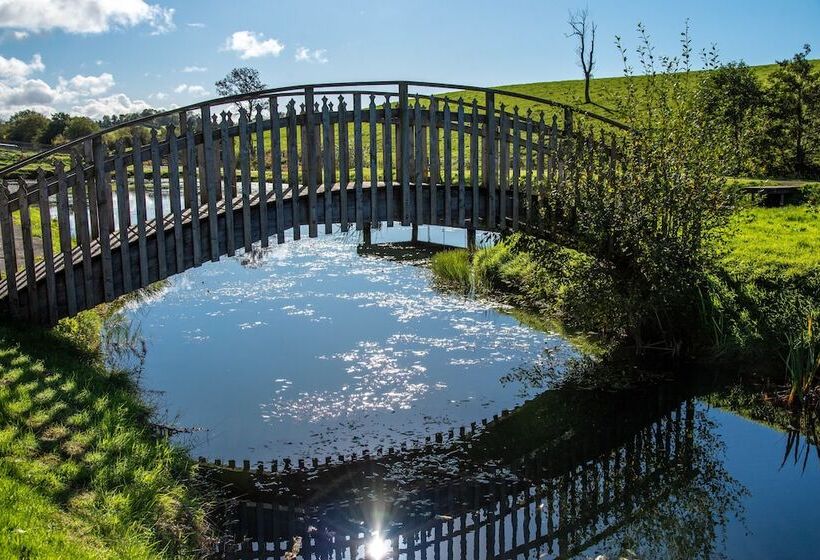 Отель Drumhoney Holiday Park