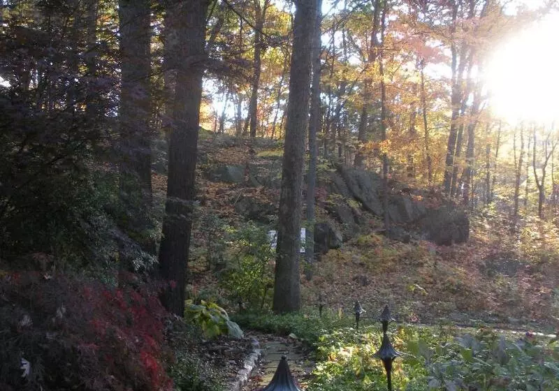 Inn The Woods Bed And Breakfast