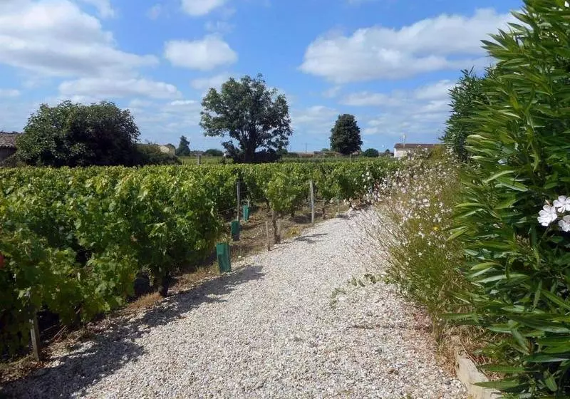 تختخواب و صبحانه Château Papounan