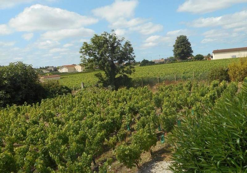 住宿加早餐 Château Papounan