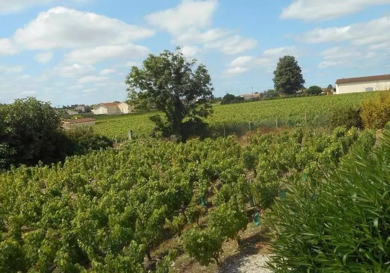 تختخواب و صبحانه Château Papounan