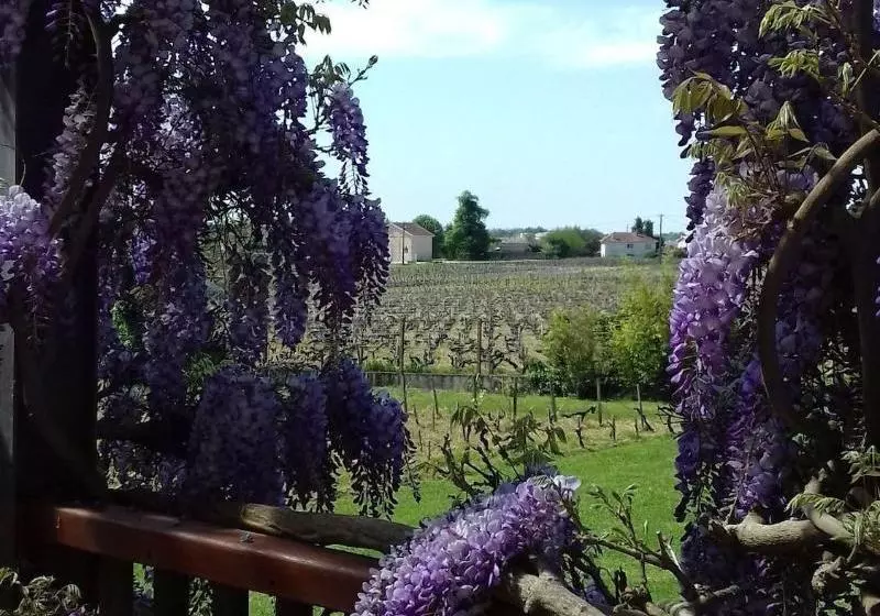 تختخواب و صبحانه Château Papounan