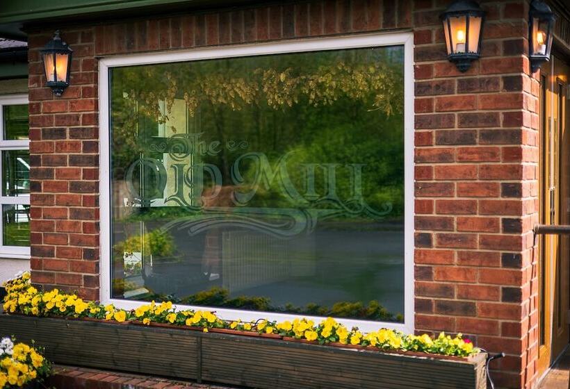 فندق فئة نجمة واحدة The Old Mill