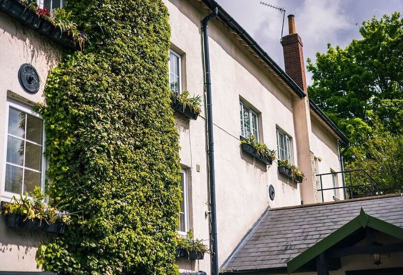 فندق فئة نجمة واحدة The Old Mill