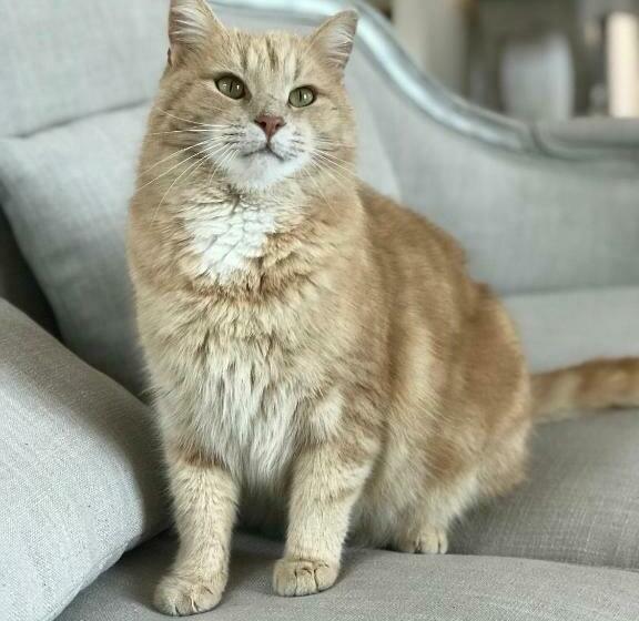 La Villa Grimaudoise