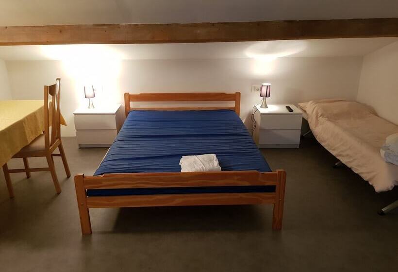 بنسيون La Grenouille