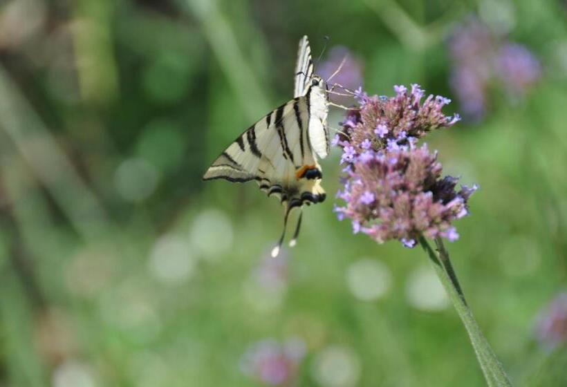 پانسیون Mas Du Perthus