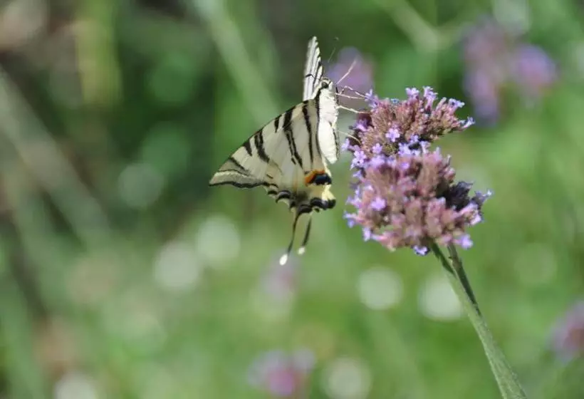 Majatalo Mas Du Perthus