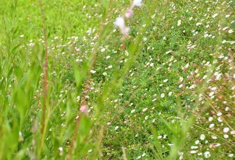 Majatalo Mas Du Perthus