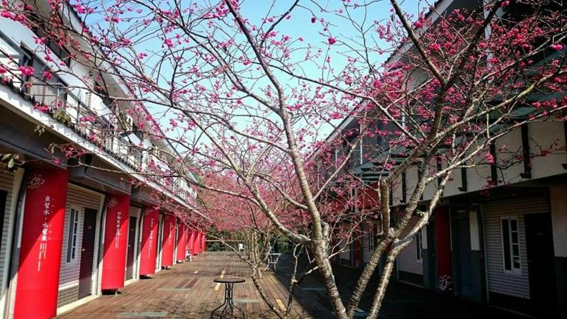 پانسیون Sanyi Wei Wei Feng