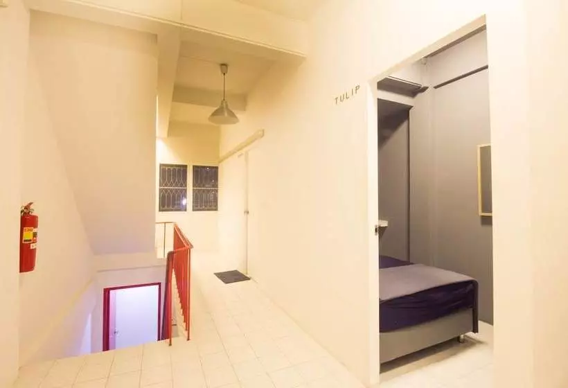 Films House Hostel