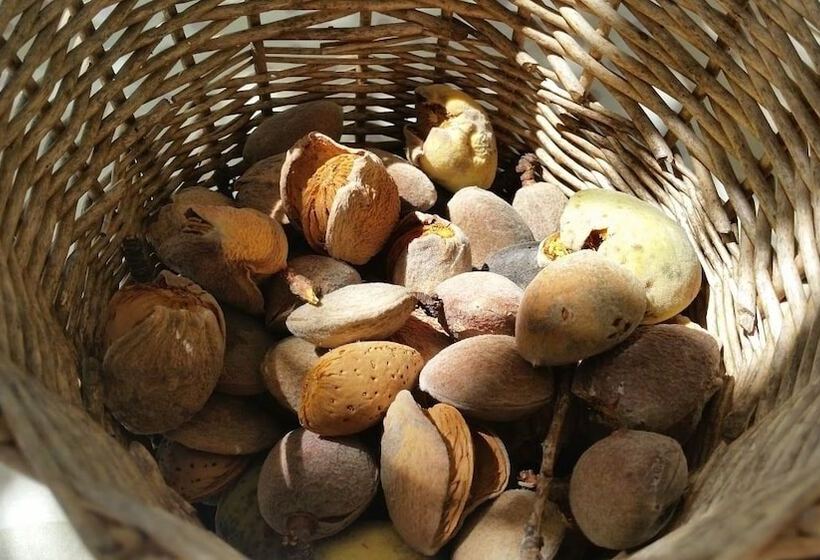 مبيت وإفطار Domaine Des Restanques