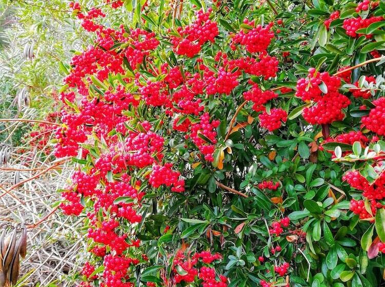 مبيت وإفطار Domaine Des Restanques