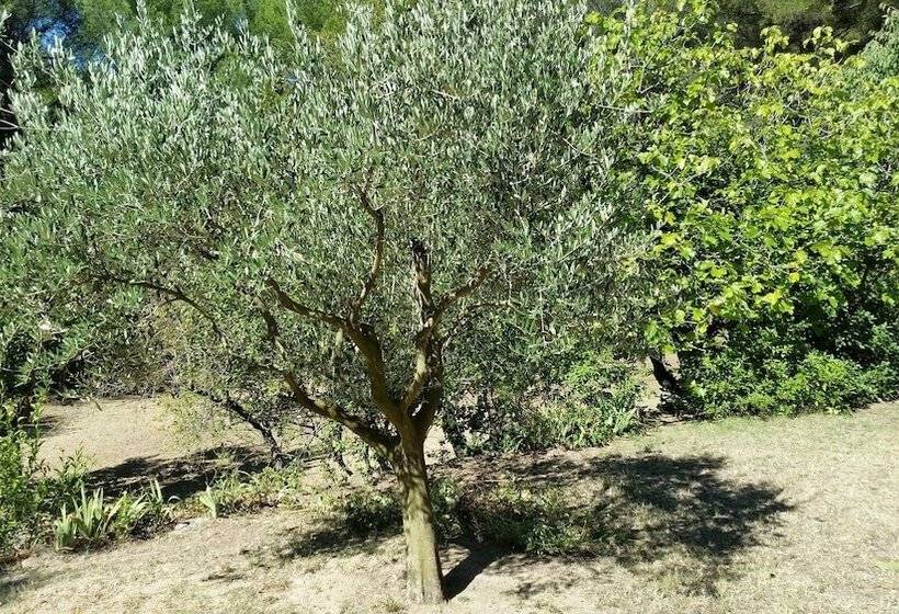 مبيت وإفطار Domaine Des Restanques