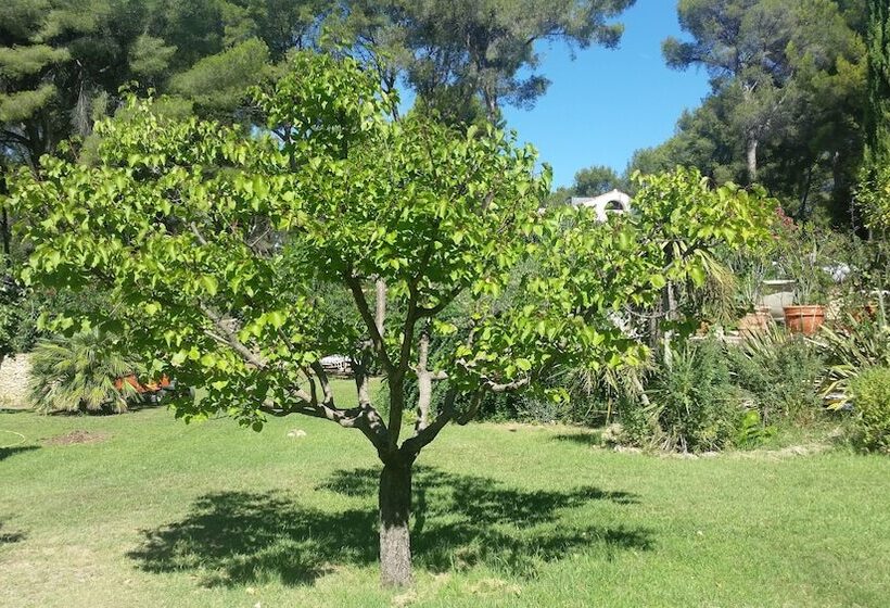 مبيت وإفطار Domaine Des Restanques