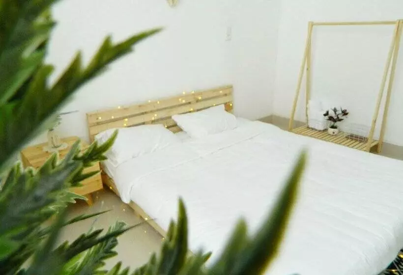 Homestay Trop Home   Hostel