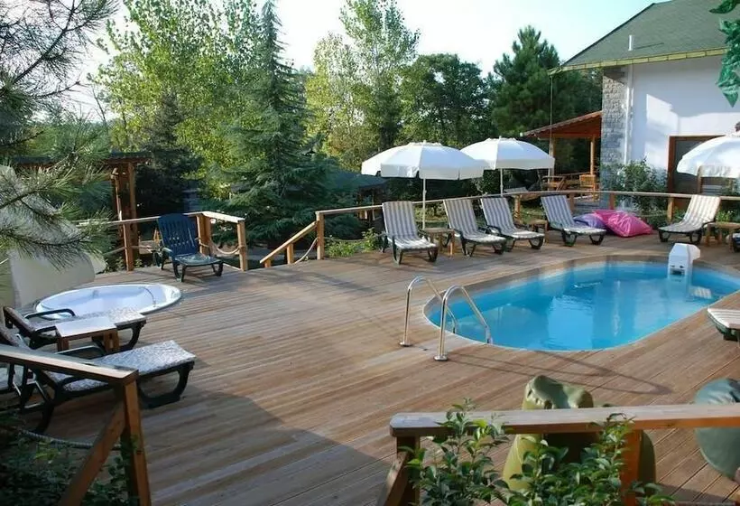 Hotelli Agva Tree Tops Park