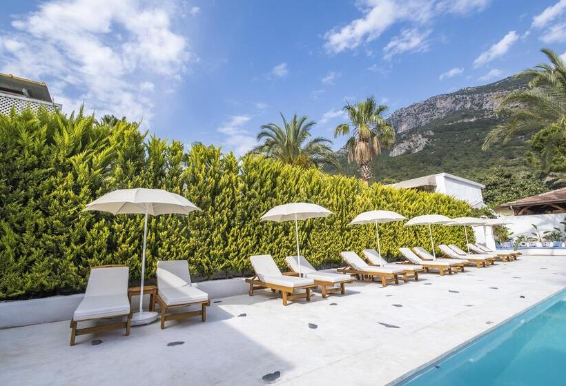 בית מלון כפרי Kassandra Boutique