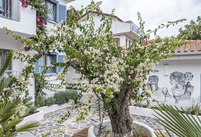 בית מלון כפרי Kassandra Boutique