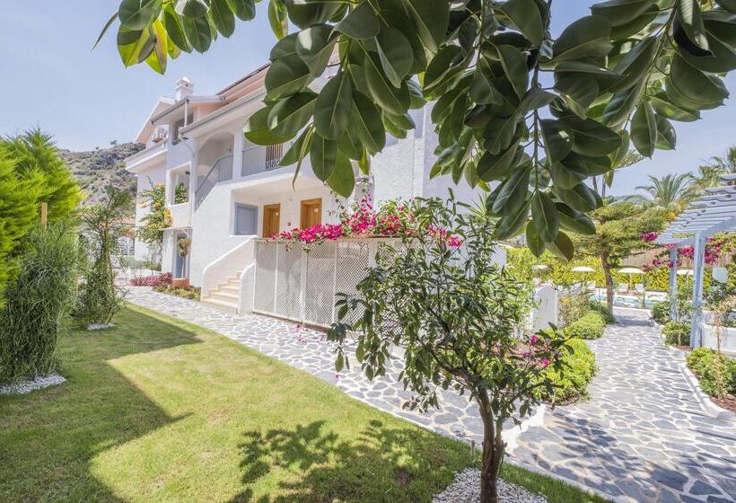 בית מלון כפרי Kassandra Boutique