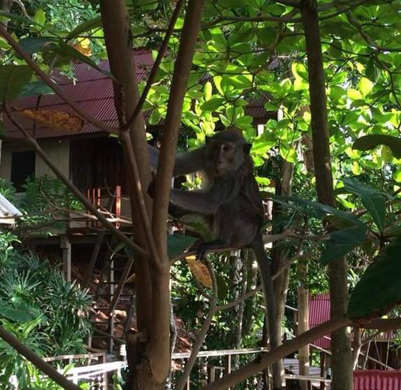 هتل Jungle Hill Beach Bungalow