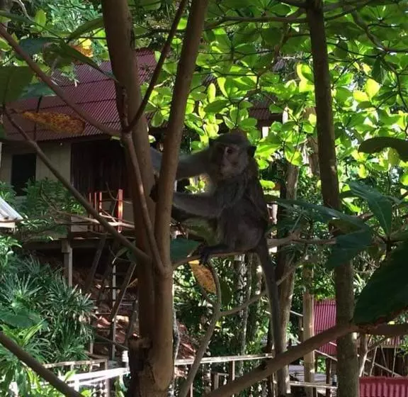 Hotelli Jungle Hill Beach Bungalow