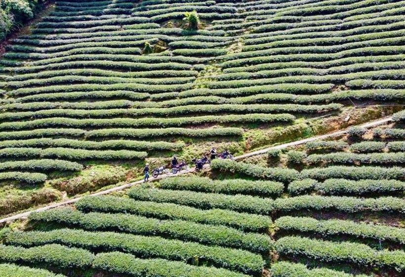 هتل Sun Moon Love