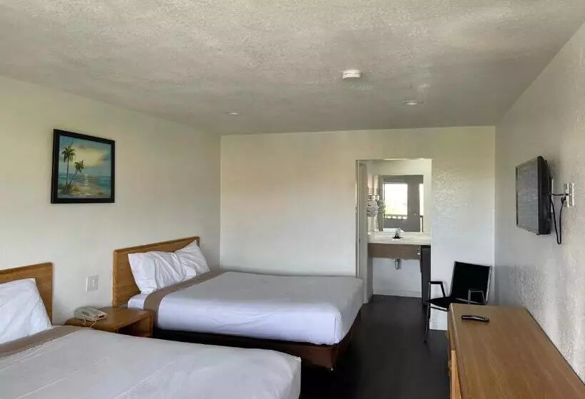 モーテル Palms Inn & Suites