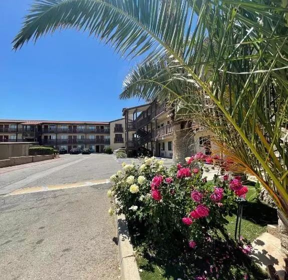モーテル Palms Inn & Suites