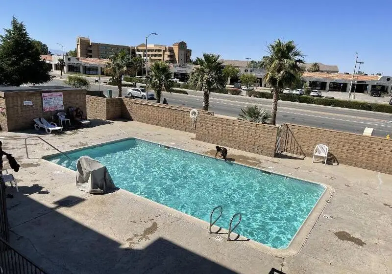 モーテル Palms Inn & Suites