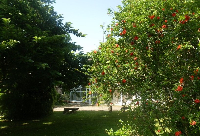 Bed and Breakfast Le Pachot