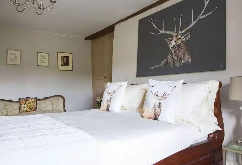 Forthay Bed And Breakfast