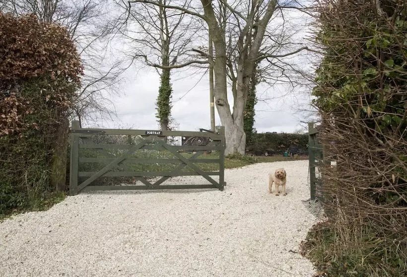 Forthay Bed And Breakfast