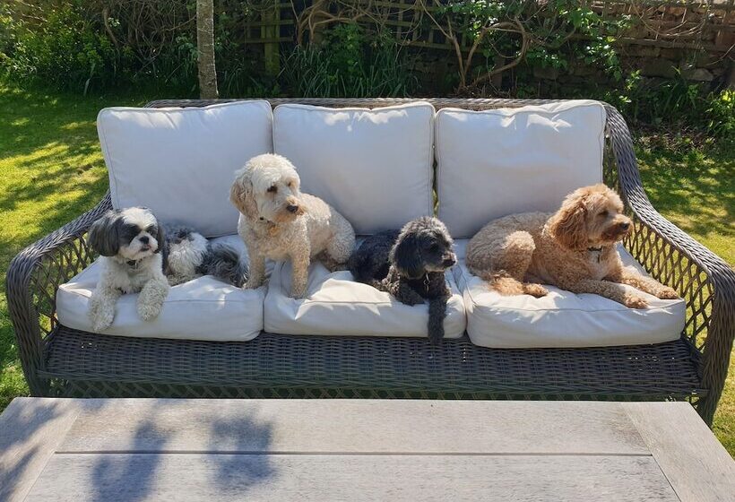 Forthay Bed And Breakfast