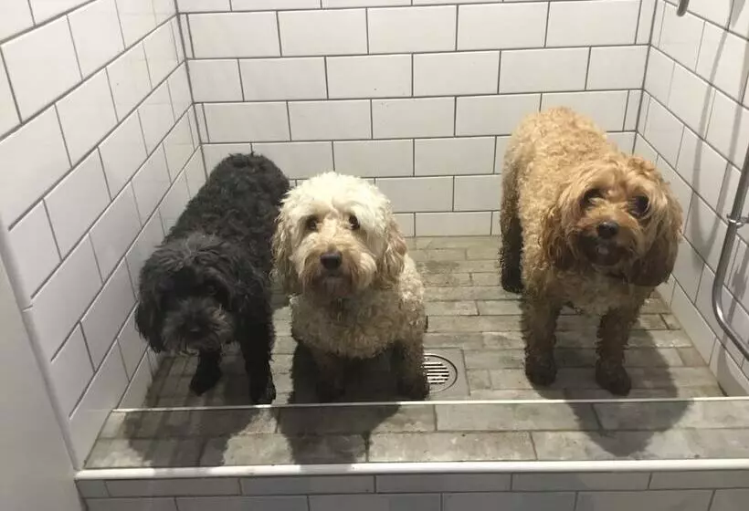 Forthay Bed And Breakfast