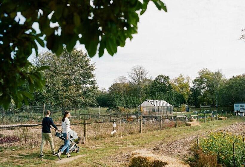 فندق فئة نجمة واحدة The Roundtree, Amagansett