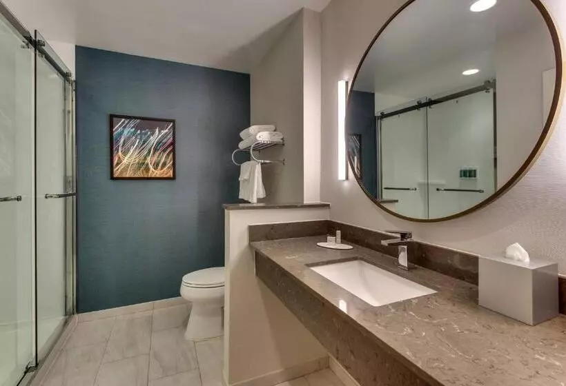 ホテル Fairfield Inn & Suites By Marriott Birmingham Downtown