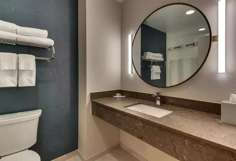 ホテル Fairfield Inn & Suites By Marriott Birmingham Downtown