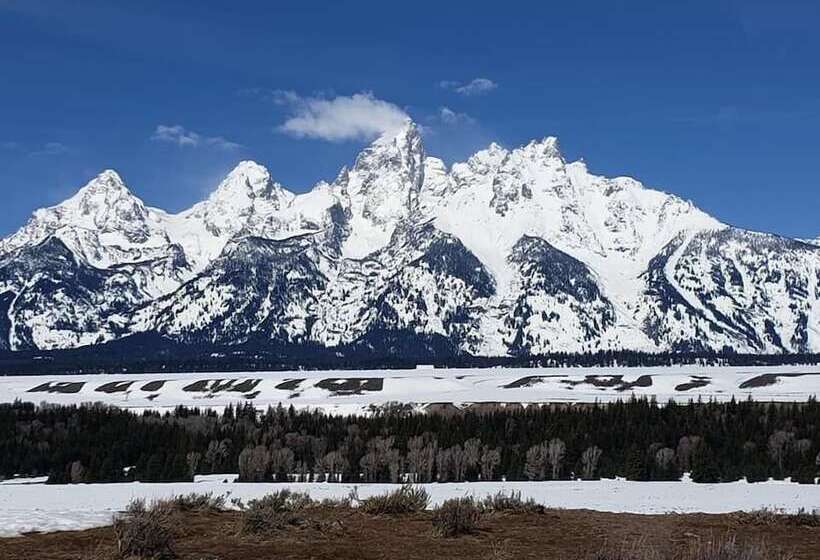 בית מלון כפרי Lava Mountain Lodge