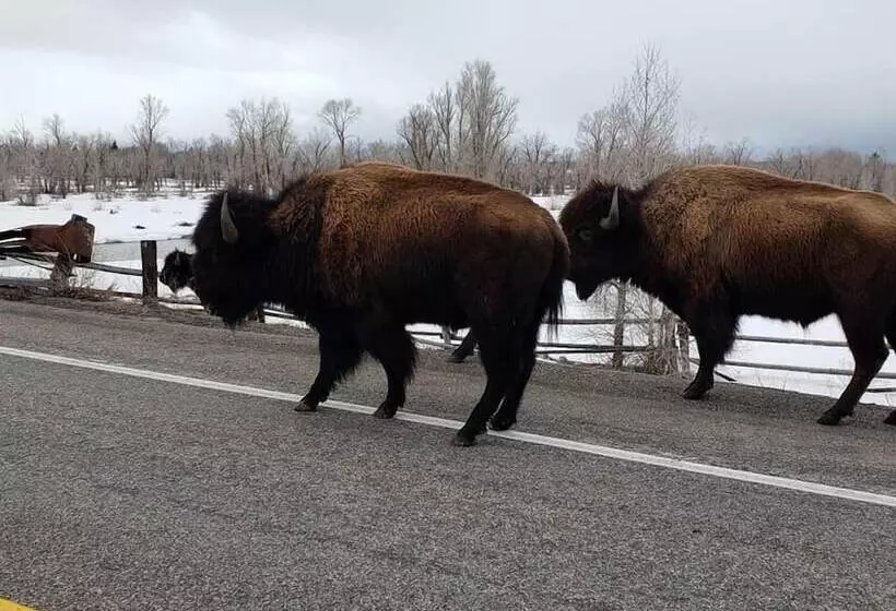 Hotelli Lava Mountain Lodge