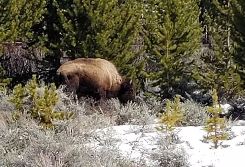 Hotelli Lava Mountain Lodge