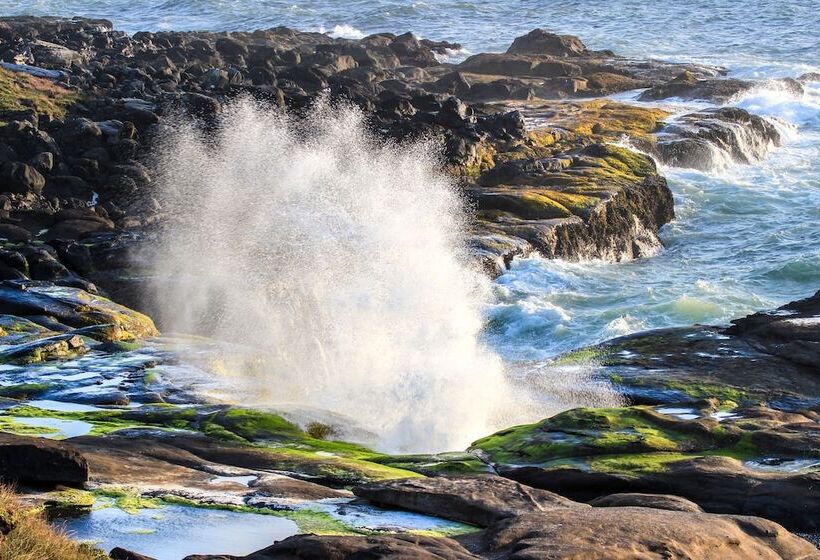 ホテル Overleaf Lodge And Spa